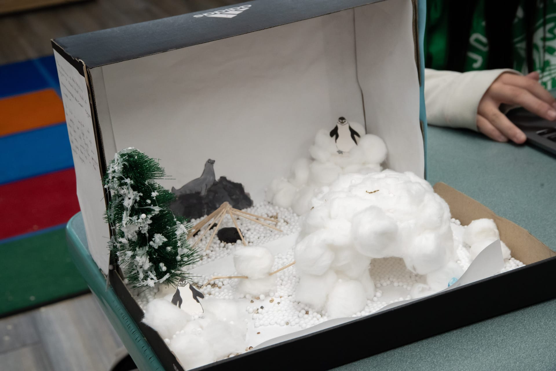 A student diorama project with an igloo made out of cotton balls, with penguins and a seal.
