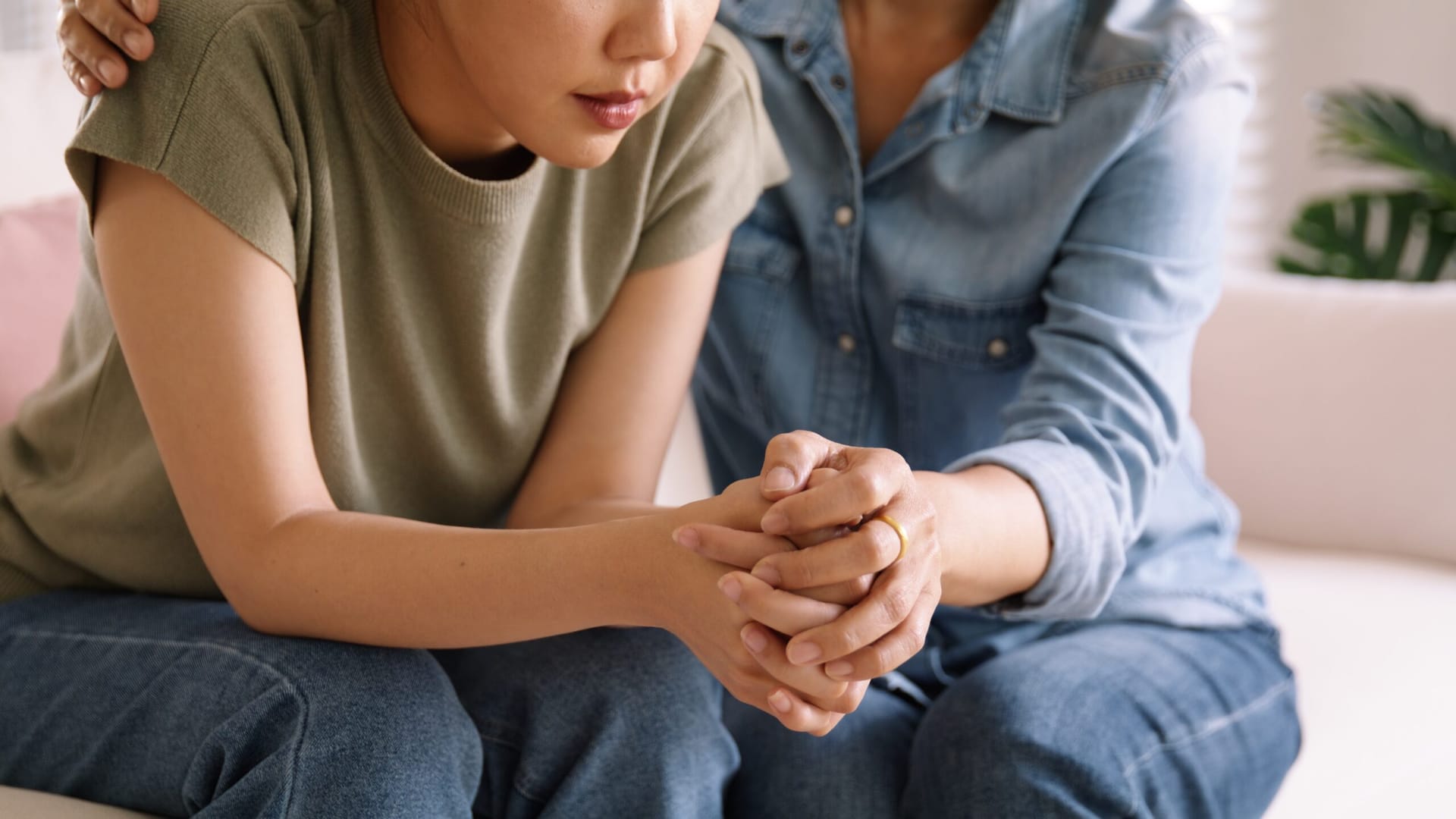 Image for Domestic violence 